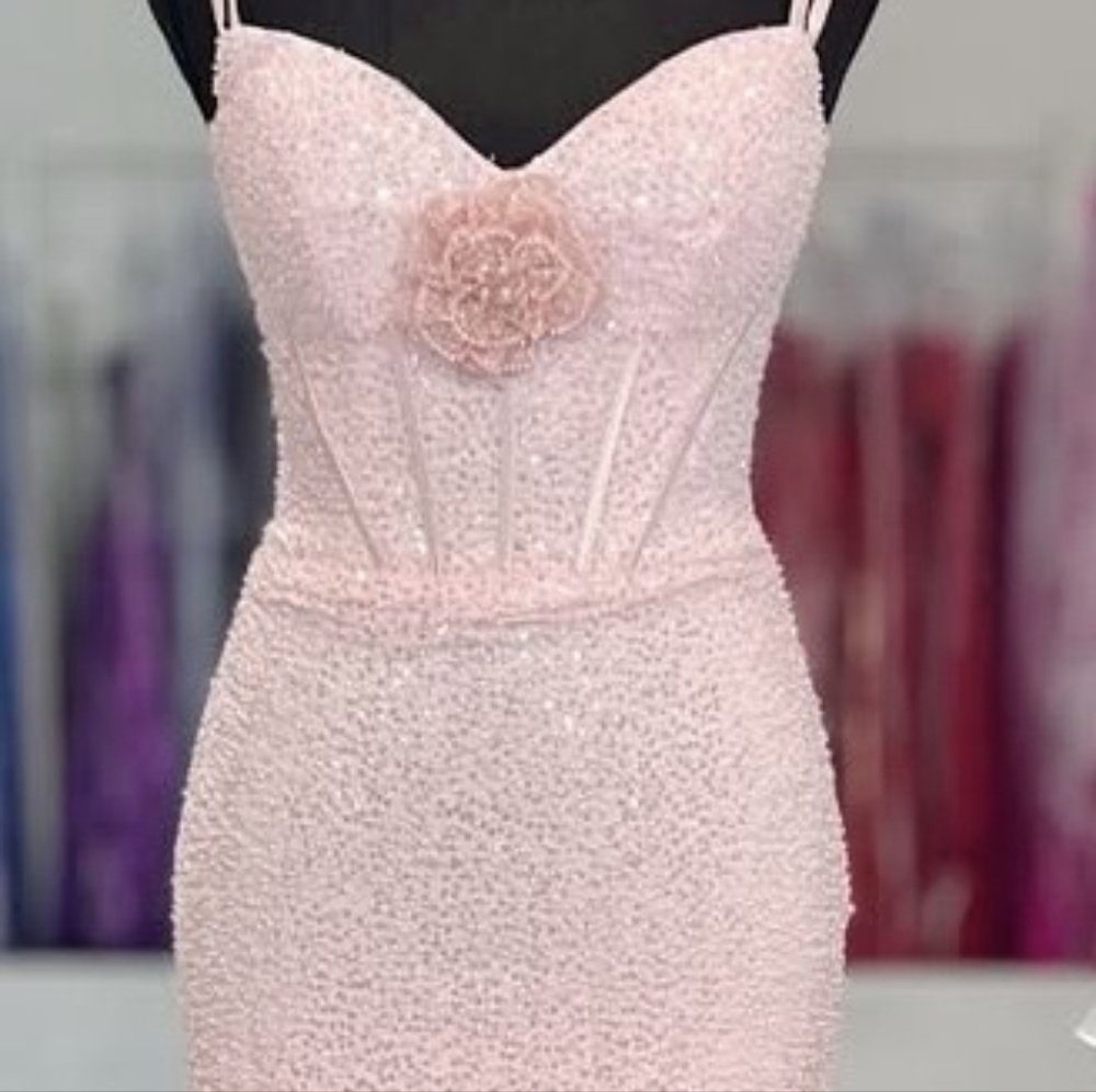 Elegant Pink Skirt